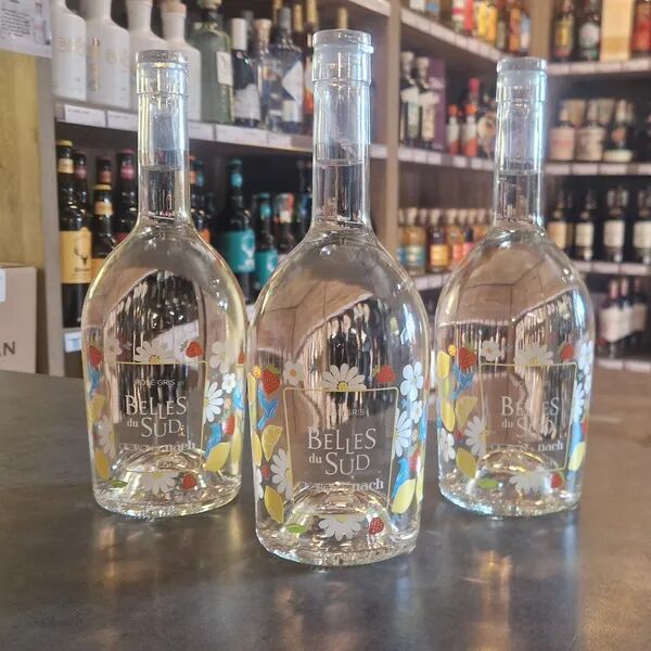 Les Belles du Sud sont de retour